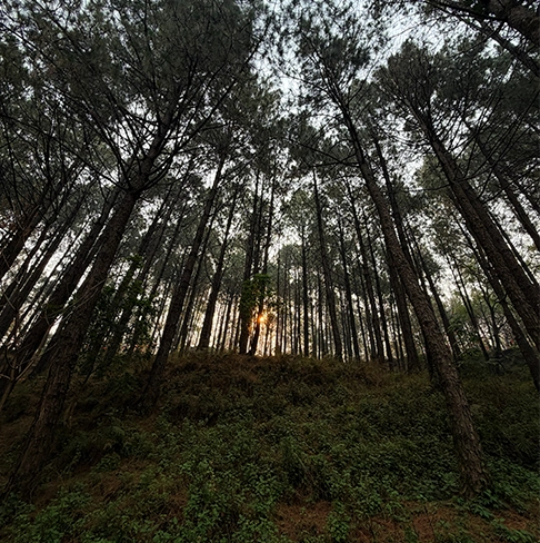 SHIVAPURI NATIONAL PARK